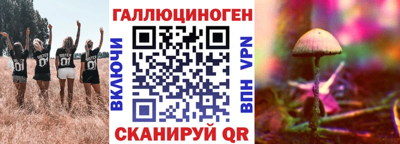 Купить где  Вольск  Псилоцибиновые грибы MAGIC MUSHROOMS 